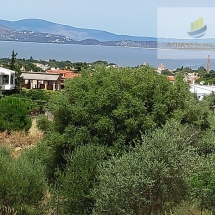 Land in Nea Makri (2)