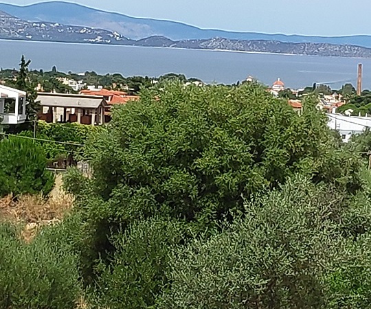 Building Land in Nea Makri, Attica