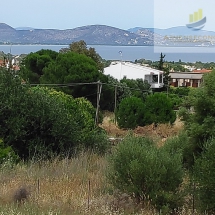 Land in Nea Makri (3)