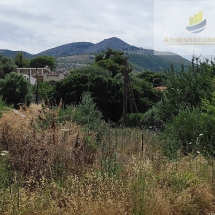 Land in Nea Makri (7)