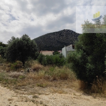 Land in Nea Makri (8)