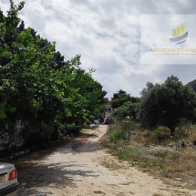 Land in Nea Makri (9)