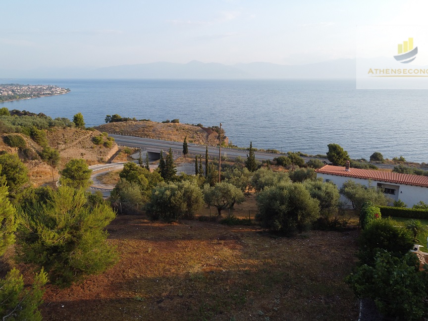 Building Land in Achaia, Peloponnese