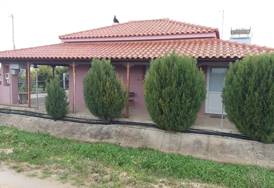 House with land for sale in Katarachi, Amaliada, Peloponnese