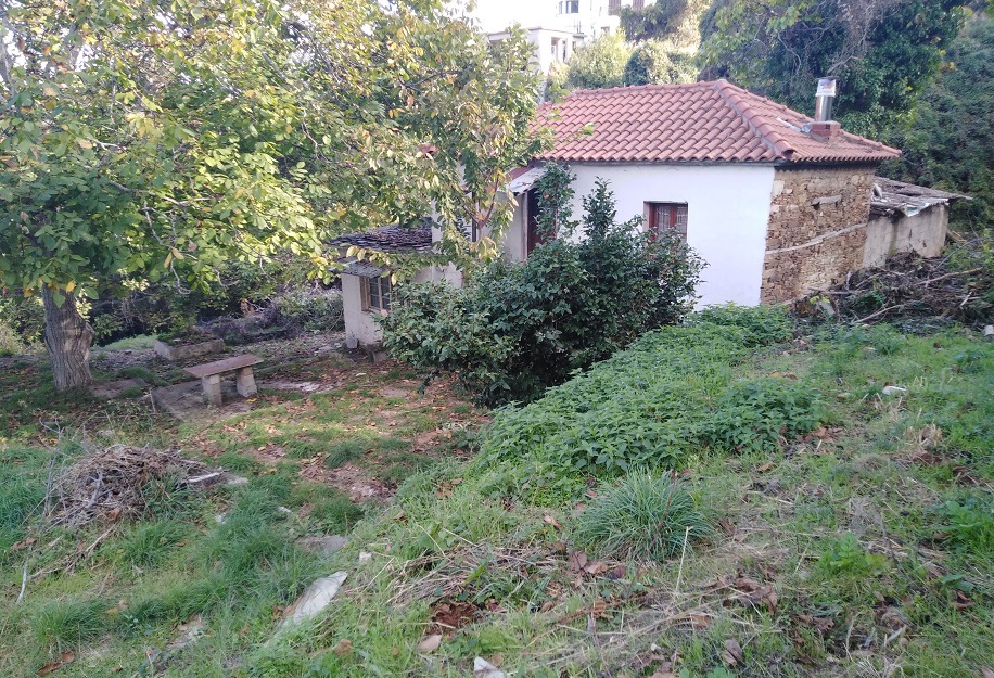 House with plot in Tsagkarada, Pilio