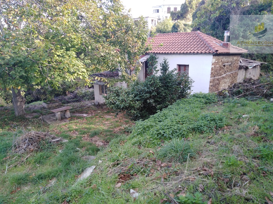 House with plot in Tsagkarada, Pilio