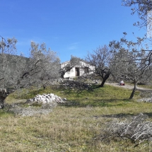 House in Ancient Epidavros (1)