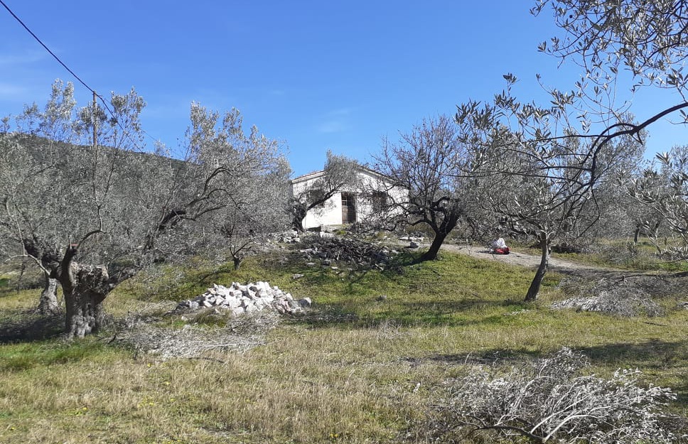 House at Ancient Epidavros,Peloponnese