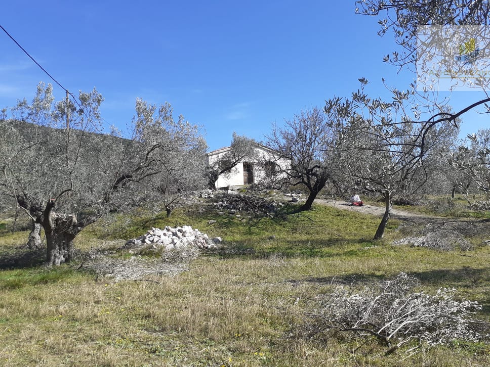 House at Ancient Epidavros,Peloponnese