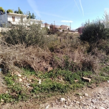 Land at Rafina (5)