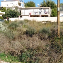 Land at Rafina (6)