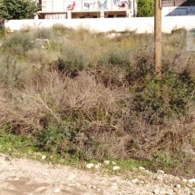 Land at Rafina (7)