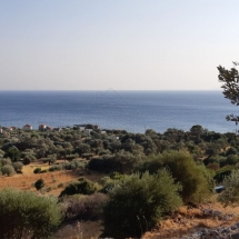 Land at Samos (1)