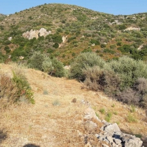Land at Samos (2)