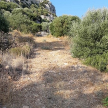 Land at Samos (3)