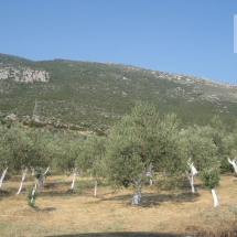 land at Epidavros