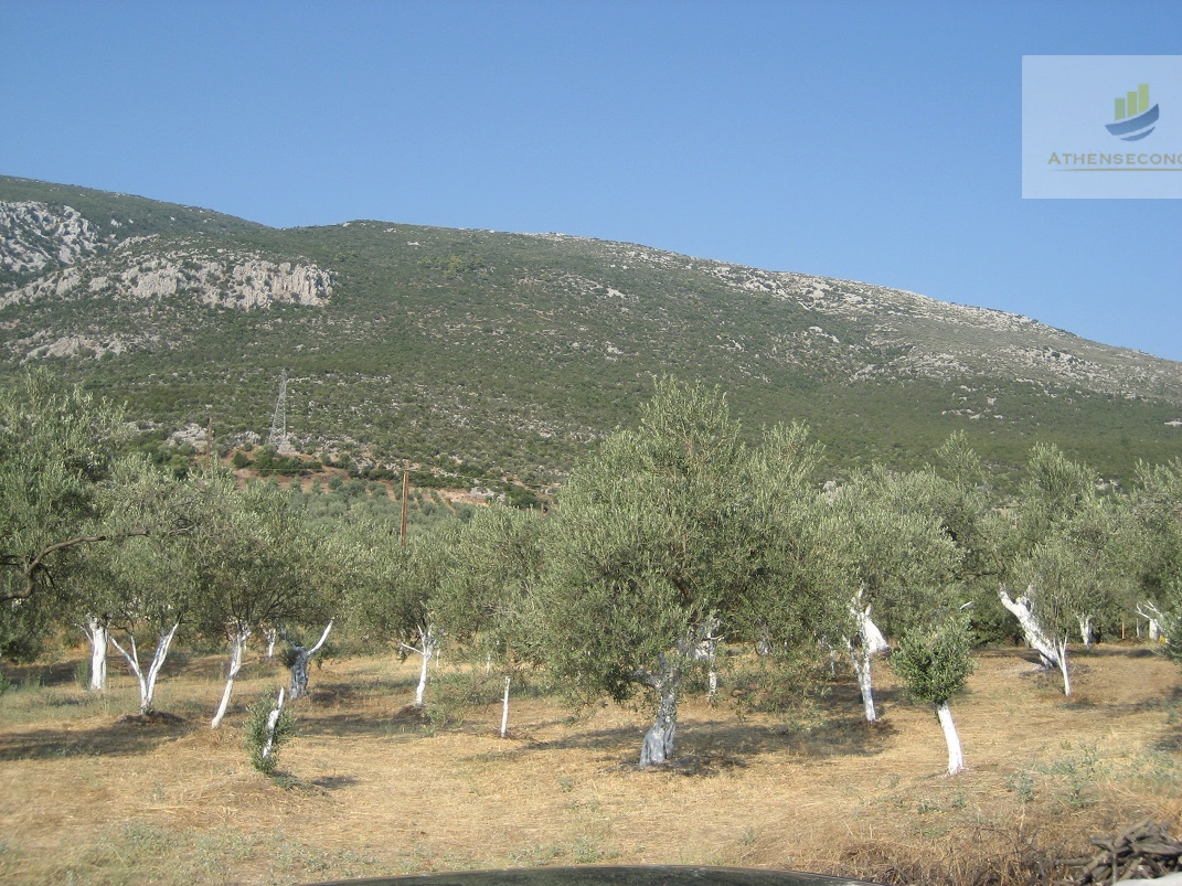 Building Land at Epidavros for sale