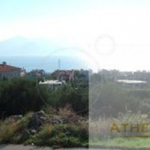 Land at Evia (11)