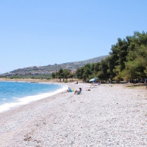 Land at Evia (2)