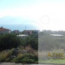 Land at Evia (9)