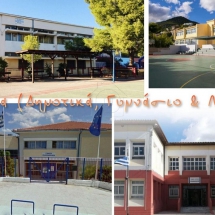 Schools (primary, gymnasium, lyceum)
