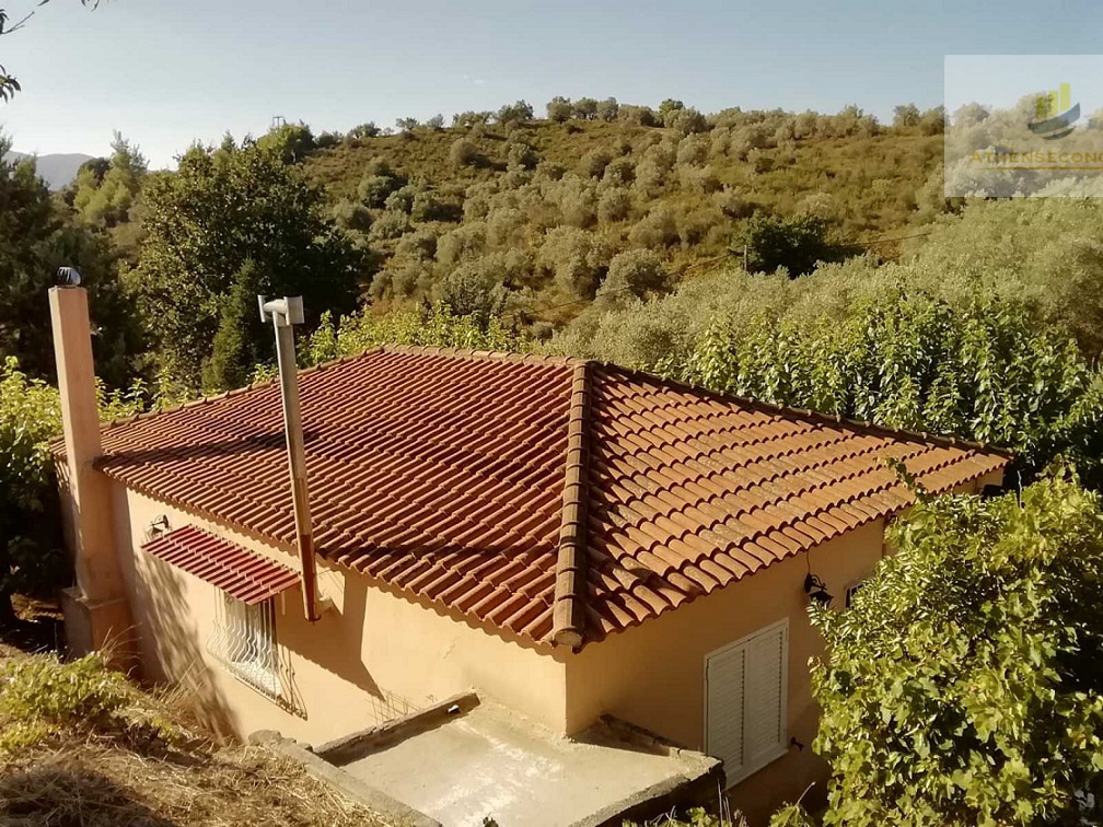 House with land at Agiokampos, Evia