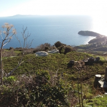Land at Andros island (4)