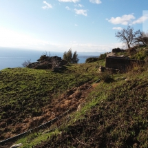 Land at Andros island (5)