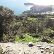 Land at Andros island (6)