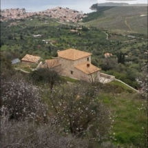 Villa at Galaxidi (7)