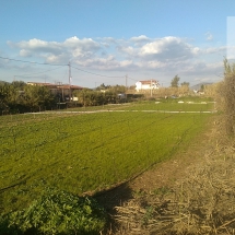 Buillding land in Schinias. (11)