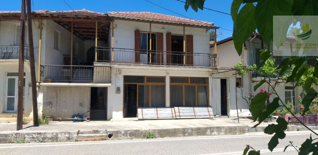 Detached house in Karpenisi for sale