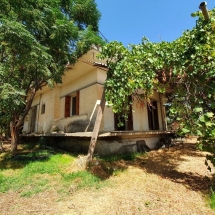 House in Tragano, Pyrgos (5)