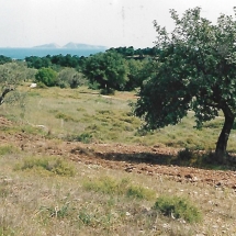 Land in Porto Cheli-Kranidi (2)