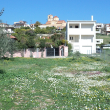 Land in Galataki, Corinth (6)