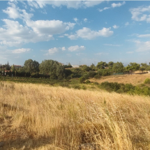 Plot of land in Varnava, Attica (6)