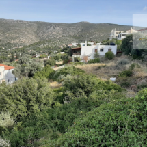 Land in Evia (2)