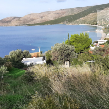 Land in Evia (3)