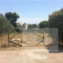 Seafront building land in Patalia Vatheos (3)