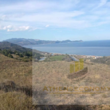 Seafront land in Murteri, Evia (3)