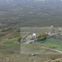 House for renovation in Harakas, Crete (1)