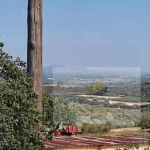 House in Mykines, Peloponnese (17)