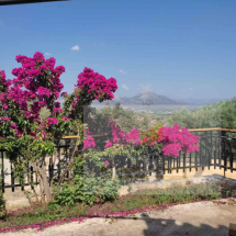 House in Mykines, Peloponnese (3)