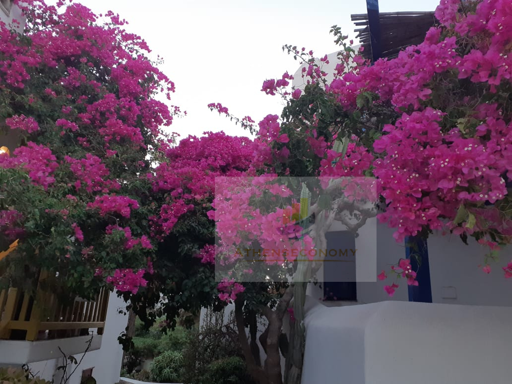 House for sale in Costa Ilios, Mykonos