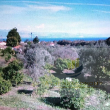 Land for sale in Aigio (10)