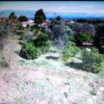 Land for sale in Aigio (12)