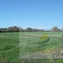 Land for sale in Kato Achaia (10)