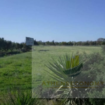 Land for sale in Kato Achaia (2)