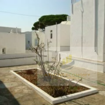 Residental Complex in Sifnos (4)