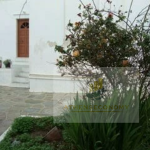 Residental Complex in Sifnos (5)